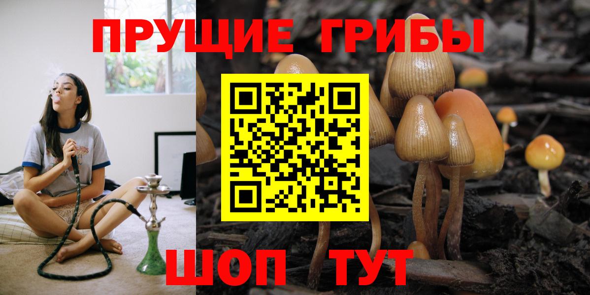 Галлюциногенные грибы Psilocybe  Вход с VPN  Великий Устюг  Галлюциногенные грибы ЛСД 