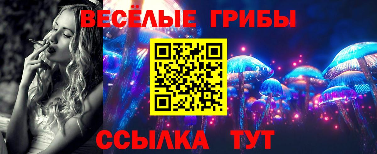 Галлюциногенные грибы Psilocybe Великий Устюг